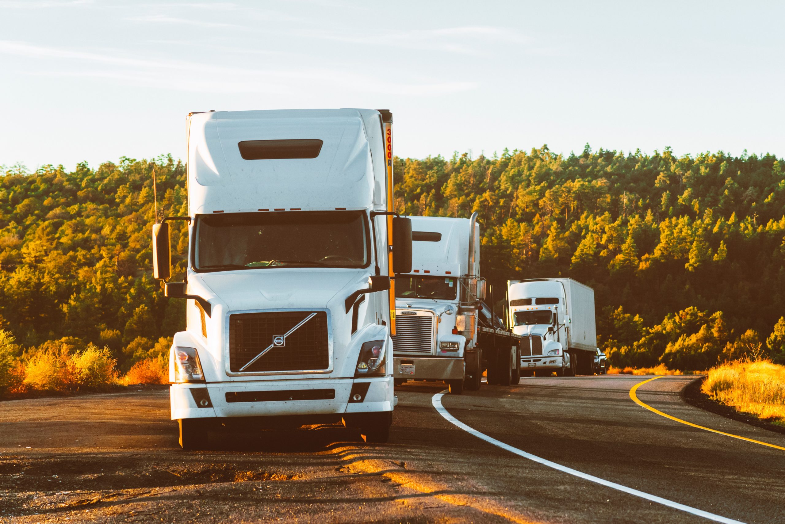 A convoy of commercial semi-trucks driving on a sunlit highway surrounded by lush greenery during golden hour.